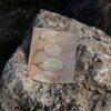 lunaria iridescent – Image 3